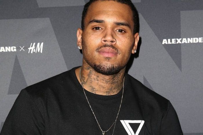 Chris Brown Fights Back In A Court Of Law Against Rape Accuser - He Filed An Official Complaint