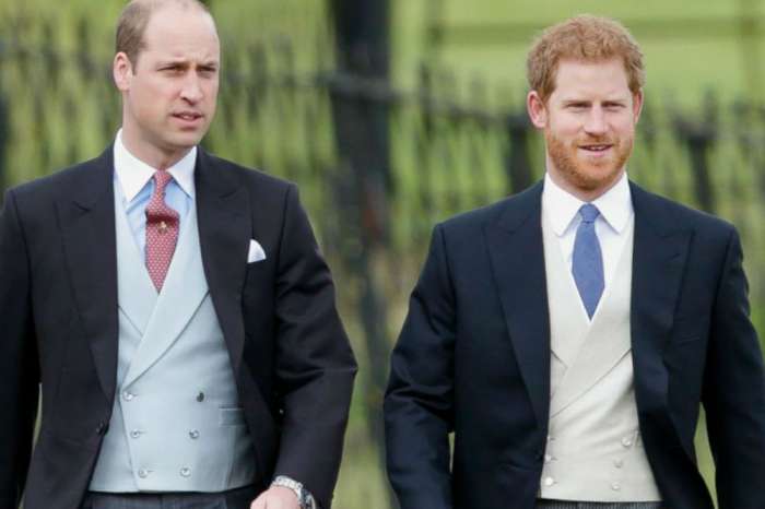 Prince Harry And Prince William Still Have A Difficult Relationship With Camilla Parker Bowles