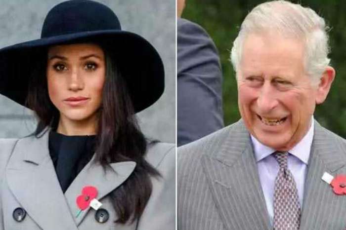 Prince Harry Reportedly Turning To Prince Charles To Help Meghan Markle Become More Popular