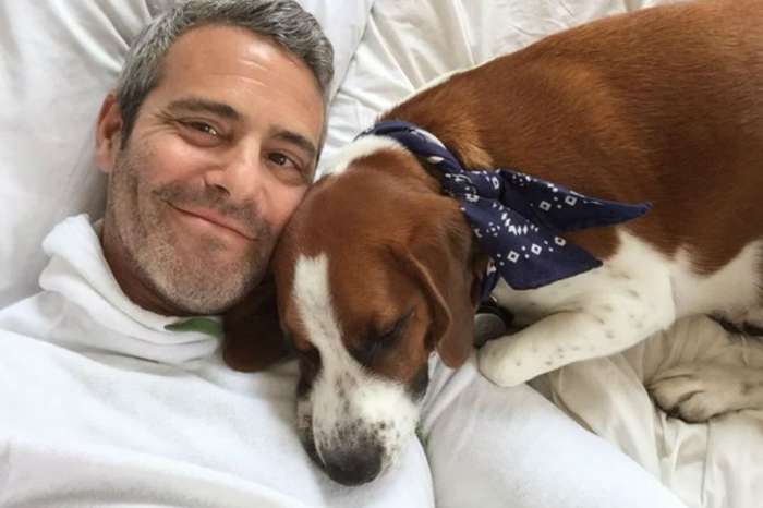 Andy Cohen Dad Shamed For Letting Dog Eat His Son’s Toy, Tells Critics “Stand Down”