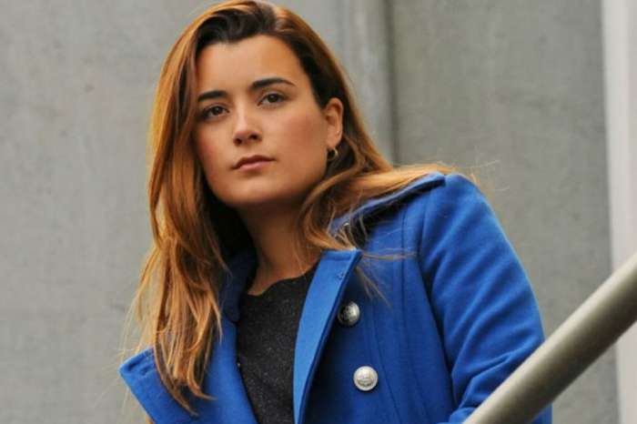 Everything NCIS Fans Need To Know About Ziva's Possible Return