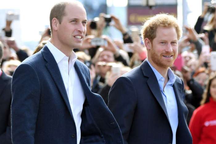 Prince William And Prince Harry Wanted To Divide Their Households Over Rift, Not Meghan Markle And Kate Middleton