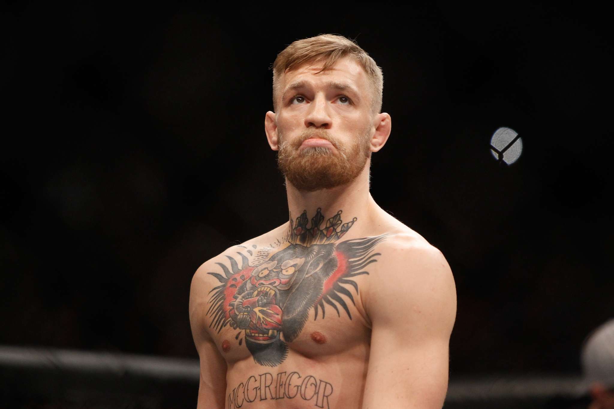 Conor McGregor Arrested & Charged With 'Strong-Armed Robbery' - He Slapped A Phone Out Of Fan's Hand And Stomped On It