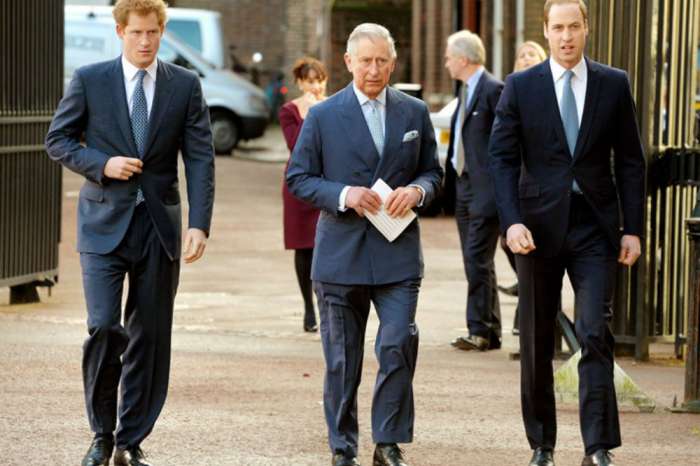 Prince Charles Feels 'Left Out' Of Prince Harry And Prince William's Lives