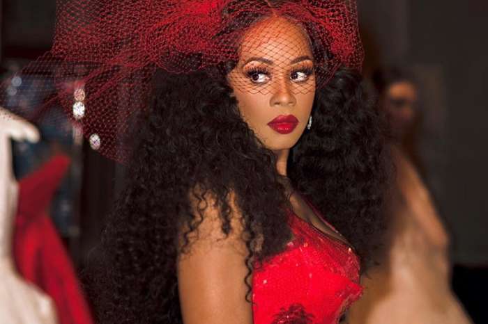 Remy Ma Leaves Nothing To The Imagination In Sheer Dress -- Are Sizzling Photos A Trap For Papoose?
