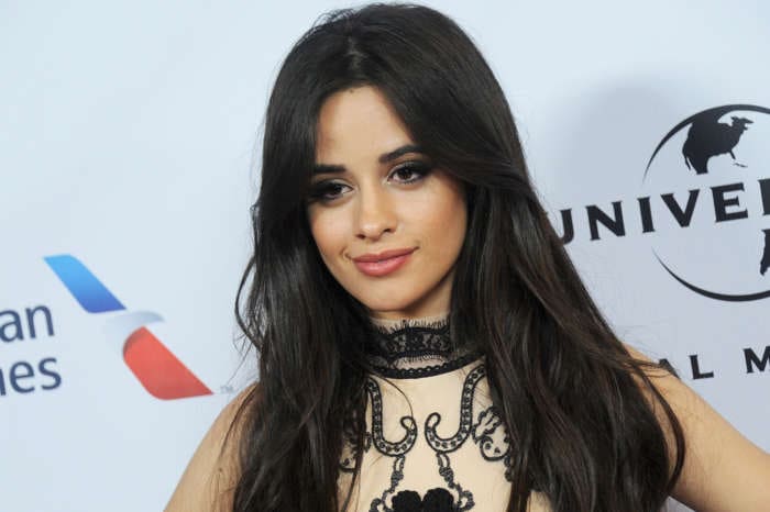 Camila Cabello Shows Love For Shawn Mendes At His Concert Amid Romance Rumors