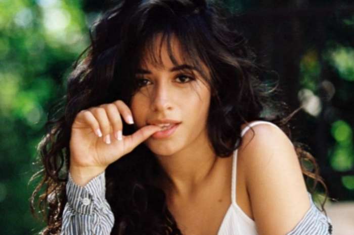 Camila Cabello Shares Gorgeous Hair Photo And Fans Want Her To Start A Wig Line
