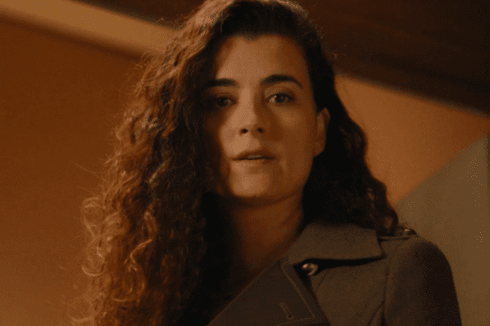 NCIS Season 17: When Will Fans Get To See Cote De Pablo's Ziva Again?