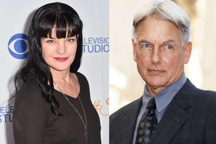 Mark Harmon Had This Reaction After Pauley Perrette Claimed He Assaulted And Intimidated Her -- Which Side Is Winning The PR Fight With 'NCIS' Fans?