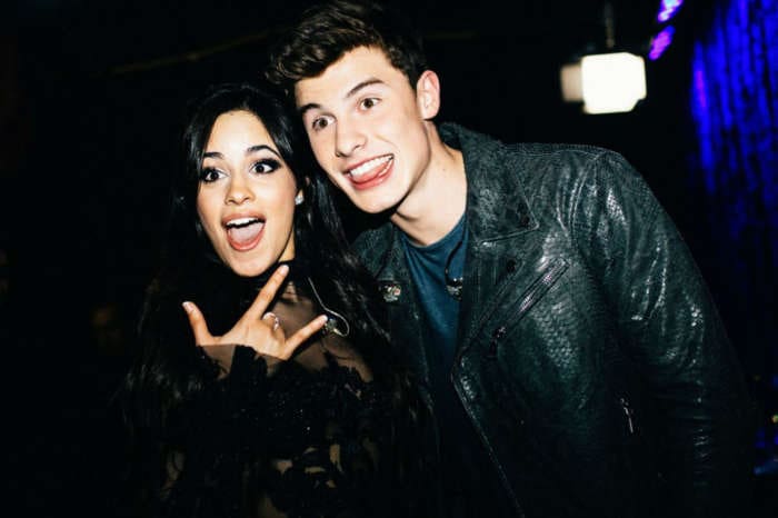 Shawn Mendes And Camila Cabello: Are They Or Aren't They?