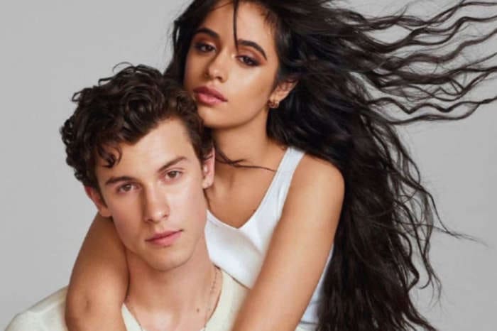 Shawn Mendes Shuts Down Camila Cabello Dating Rumors With New Twitter Video