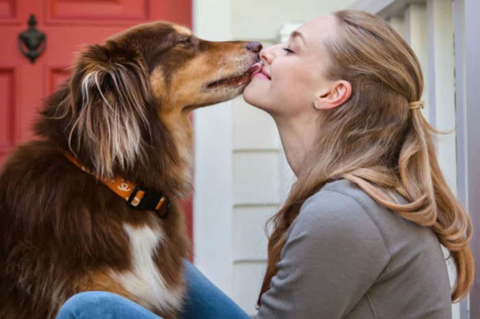 Amanda Seyfried Credits Rescue Dog Finn For Helping Her Battle Anxiety