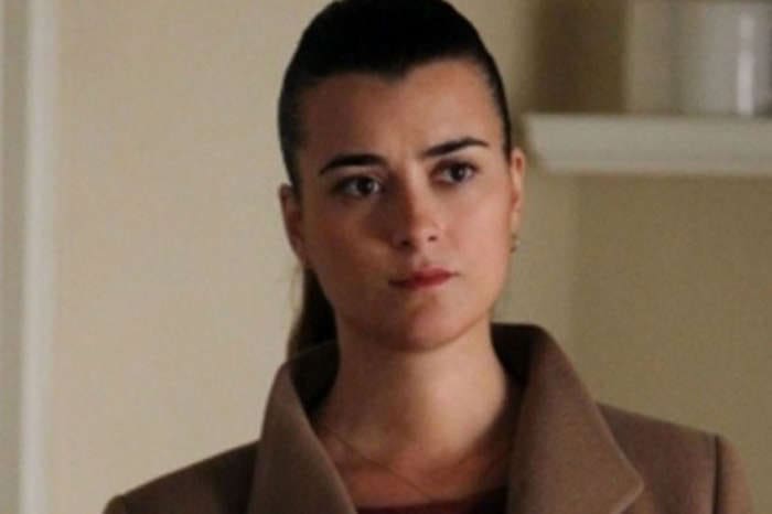 How Did NCIS Producers Convince Cote De Pablo To Return As Ziva For Season 17?