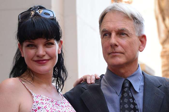 Pauley Perrette's Concerns About Mark Harmon Have Been Resolved Which Is Why She Accepted To Come Back To CBS As Some 'NCIS' Fans Remain Divided Over The Incident That Started It All