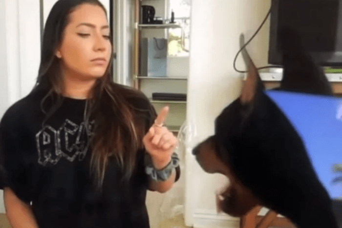 YouTuber Brooke Houts Caught On Tape Allegedly Abusing Her Dog By Hitting And Spitting On Him — Watch The Disturbing Video