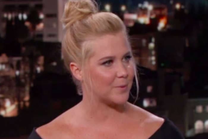 Amy Schumer Uses Humor To Clap Back At Autism Comments About Husband Chris Fischer And Son