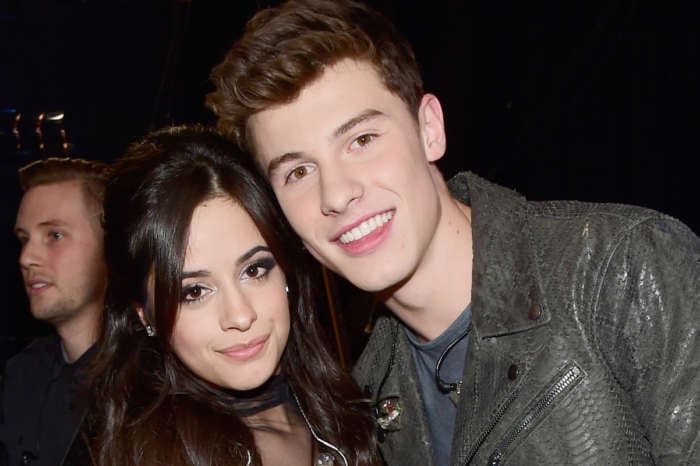 Camila Cabello And Shawn Mendes Confirm They Are Still Dating With Cute PDA Pic Amid Split Rumors