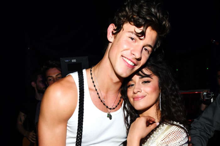 Camila Cabello Opens Up About Romance With Shawn Mendes - Admits She Loves Him!
