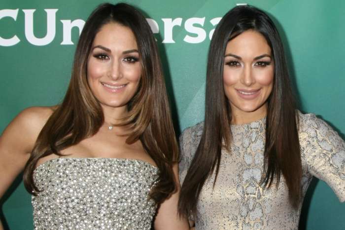 The Bella Twins Want To Return To The WWE!