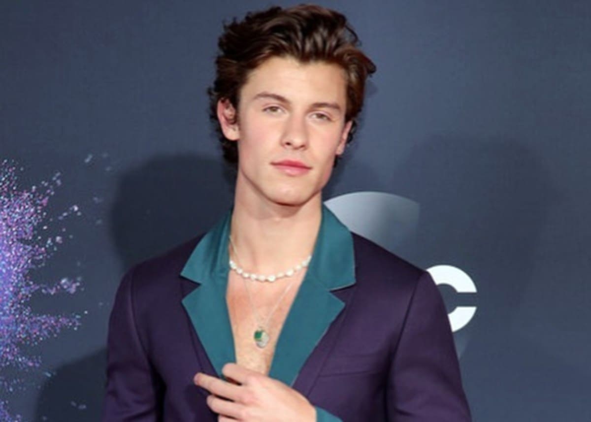 File:Shawn Mendes at the 2019 American Music Awards (background  removed).PNG - Wikimedia Commons