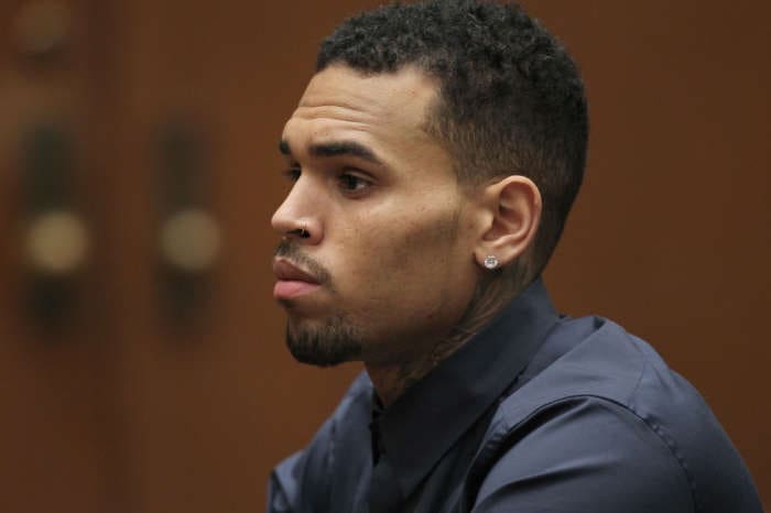 Chris Brown Ordered To Pay $35,000 For His Illegal Pet Money's Caretakers