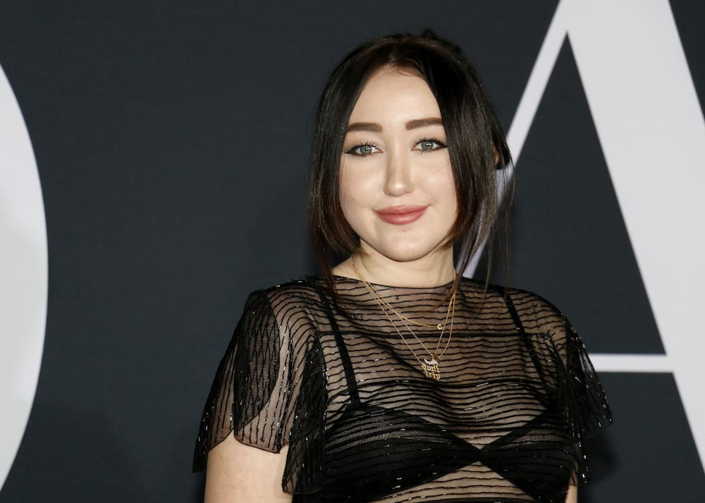 Noah Cyrus Gets Honest About Her Struggles With Depression And Anxiety Celebrity Insider