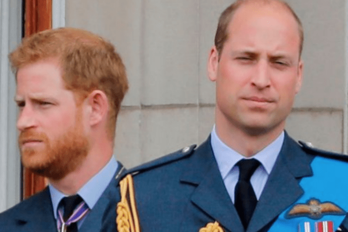 Prince Harry & Prince William Reportedly End Their Two-Year Feud Amid Megxit Drama