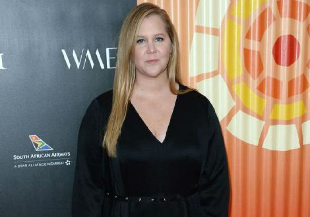 Amy Schumer Updates Fans On Her IVF Journey - 'We Got 1 Normal Embryo'
