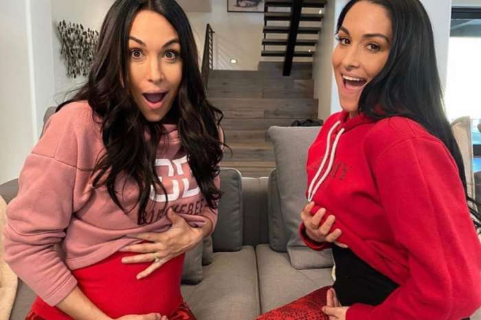 The Bella Twins Are Planning An Epic Baby Gender Reveal — Nikki And Brie Are Pregnant!