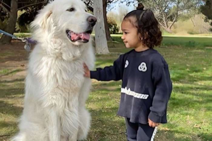 Kim Kardashian Shares Adorable Pictures Of Chicago West With A Huge White Dog — Chi Loves Doggies!