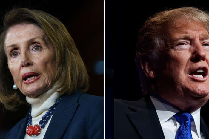 Nancy Pelosi Warns Donald Trump He Should 'Watch Out' - 'I'm A Lioness' Who Is Not Giving Up The Fight!