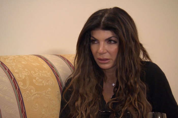 Teresa Giudice Reportedly Feels ‘Embarrassed’ Now That The Whole Hair Pulling Incident Has Aired On RHONJ!