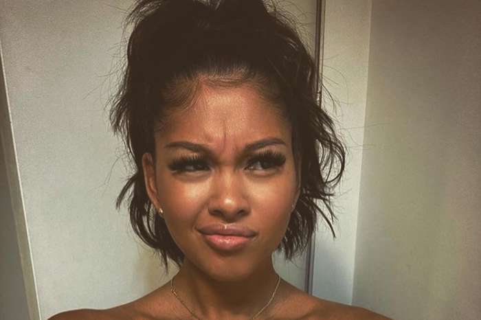 Chris Brown's Baby Mama, Ammika Harris Shares New Gorgeous Photos With Baby Aeko, But Fans Notice Her Postpartum Hair Loss