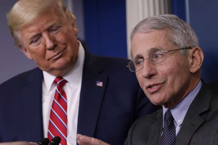 President Donald Trump Seems To Be Mulling The Idea Of Firing Dr. Anthony Fauci Who Confirmed That He Could Have Saved American Lives If He Had Acted Earlier When It Comes To The Coronavirus Pandemic