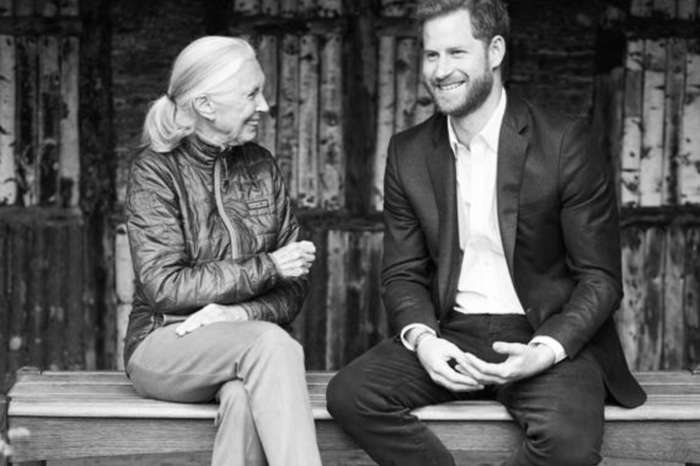 Prince Harry Is Finding His New Post-Royal Life To Be 'Quite Challenging,' According To Jane Goodall