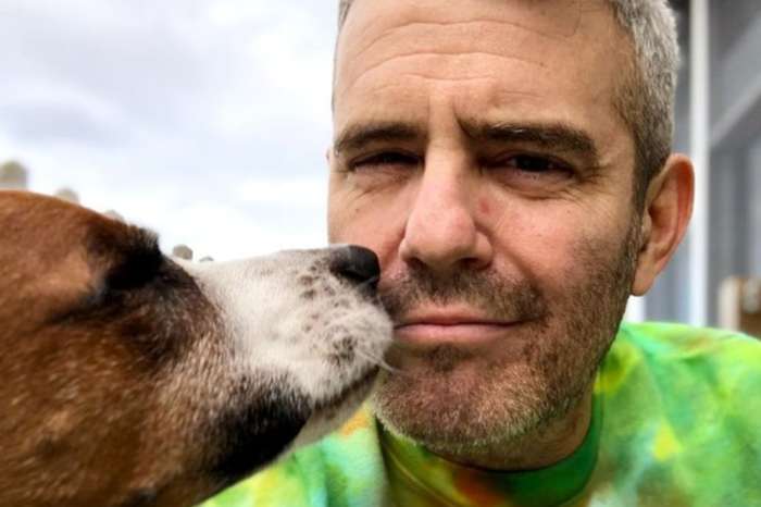 Andy Cohen Sadly Says Goodbye To Rescue Pup Wacha, Rehomes The Dog To Keep His Son Safe