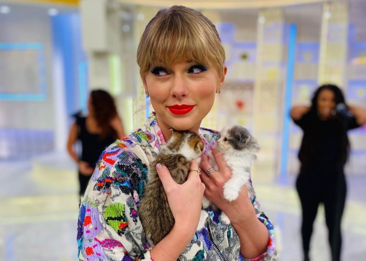 ”taylor-swifts-best-photos-of-cats”