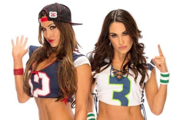 Nikki & Brie Bella Share Jaw-Dropping Photos From Their Nude Pregnancy Photo Shoot