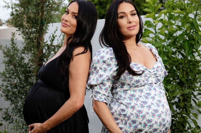 Nikki And Brie Bella Talk Getting Back Into Shape After Giving Birth, Managing Expectations And More On Their Podcast