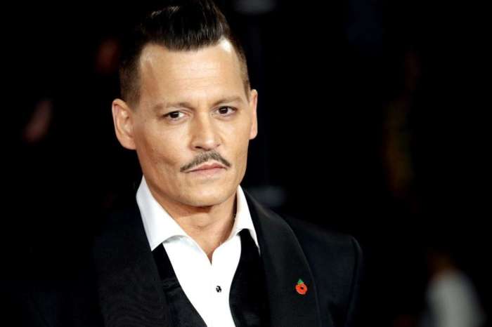 Johnny Depp Insists He's 'No Wife-Beater' On The Final Day Of His Trial Against The Sun