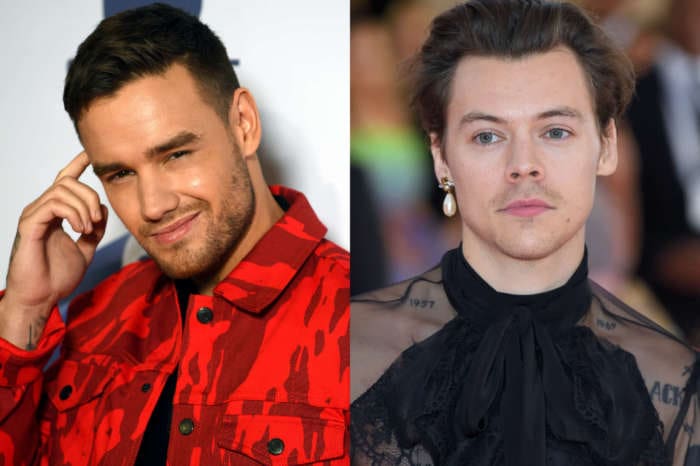 Liam Payne Posts Hilarious TikTok Video With Harry Styles And Fans Are Freaking Out - Did They Just Tease Their Reunion?