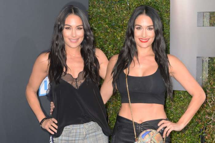 Nikki And Brie Bella Reportedly ‘Nervous’ About Their Fast-Approaching Due Dates - Here's Why!