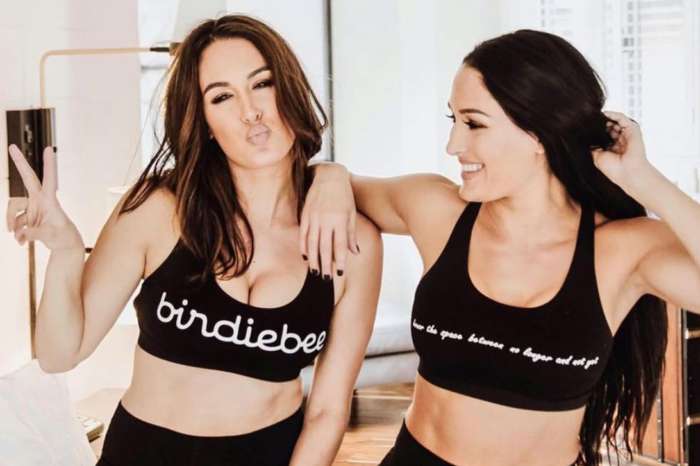 Nikki And Brie Bella Put Their Postpartum Bodies On Display And Look Stunning!