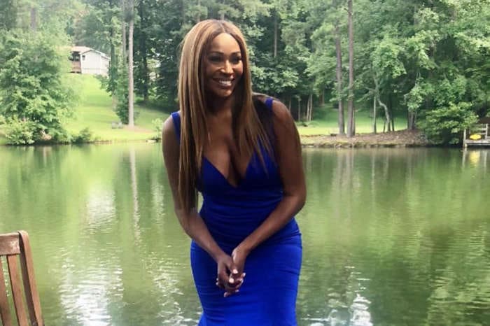 Cynthia Bailey Shares A Jaw-Dropping Photo Of Lake Bailey That Will Take Your Breath Away