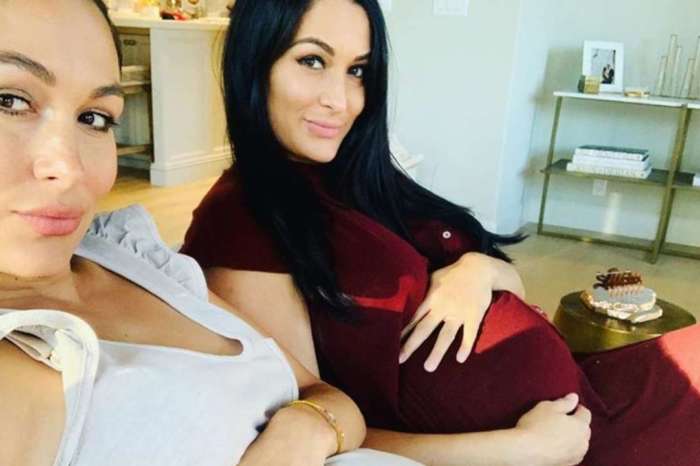 The Bella Twins Introduce Their Baby Boys To The World -- Meet Buddy And Matteo
