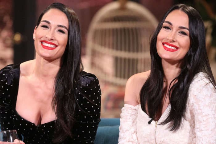 Brie Bella Says She's Done Having Kids - Reveals She Got Her Tubes Tied!
