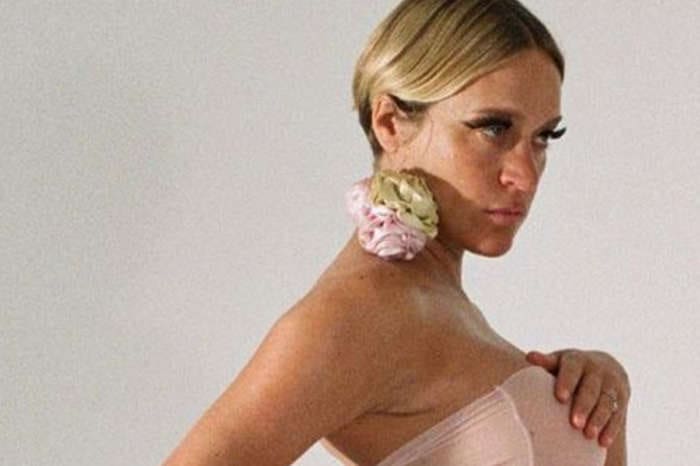 Chloë Sevigny Poses Pregnant And Without Clothes For Newly Rebranded Playgirl Magazine