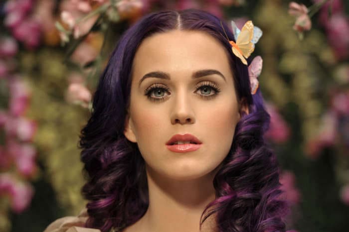 Katy Perry Finds Another Purpose For Her Face Mask - Dog Poop