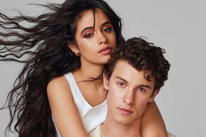 Shawn Mendes Says He Was 'On The Verge Of Ruining' Camila Cabello Romance - Here's How!
