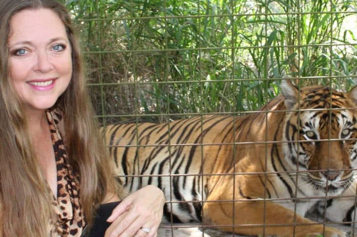 Carole Baskin's Big Cat Rescue Sanctuary Site Of Vicious Tiger Attack On Volunteer Worker